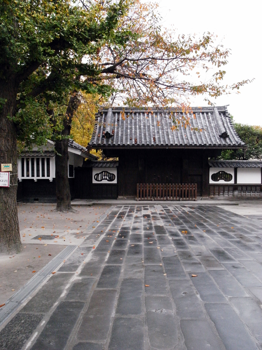 Asakusa-6