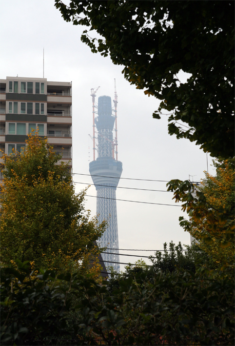 Asakusa-3