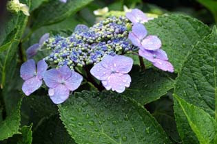 Img_254711