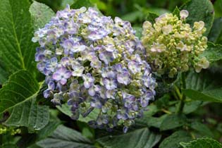 Img_255511