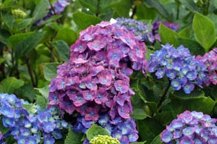 Img_260411